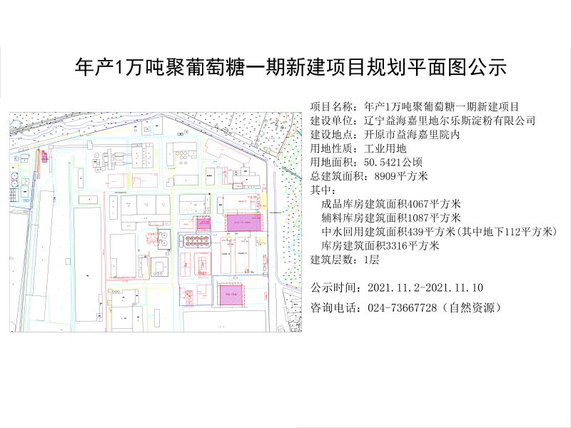 年产1万吨聚葡萄糖一期新建项目